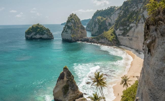 Bali To Deport Russian Couple Over Nude Photo Shoot On Sacred Tree