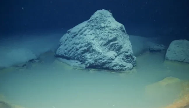 Scientists Discover Deadly Pool At Bottom Of Ocean That Kills Anything That Swims Into It