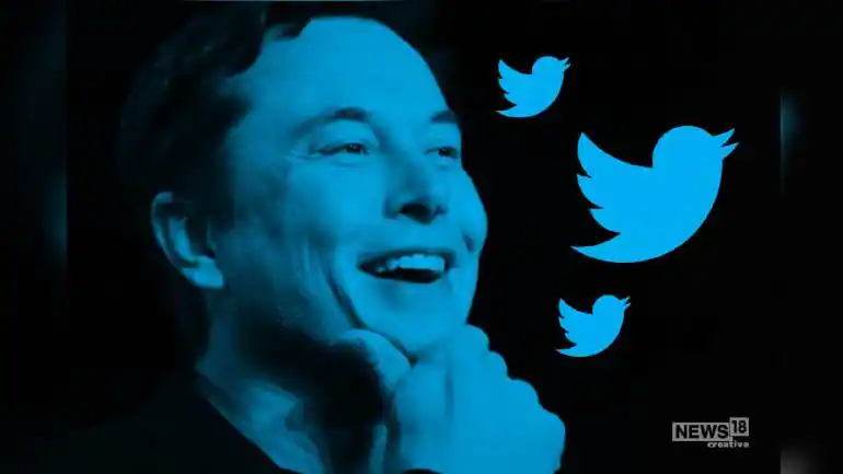 Twitter Under Elon Musk Fast, Aggressive With Harmful Content