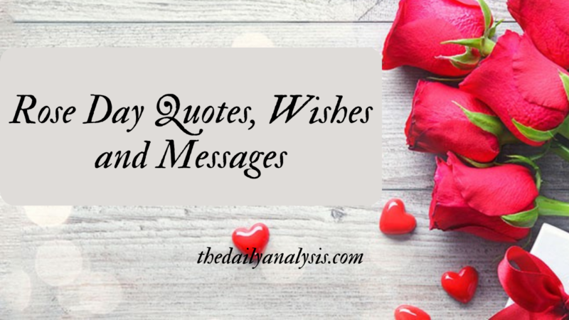 Rose Day Quotes, Wishes and Messages